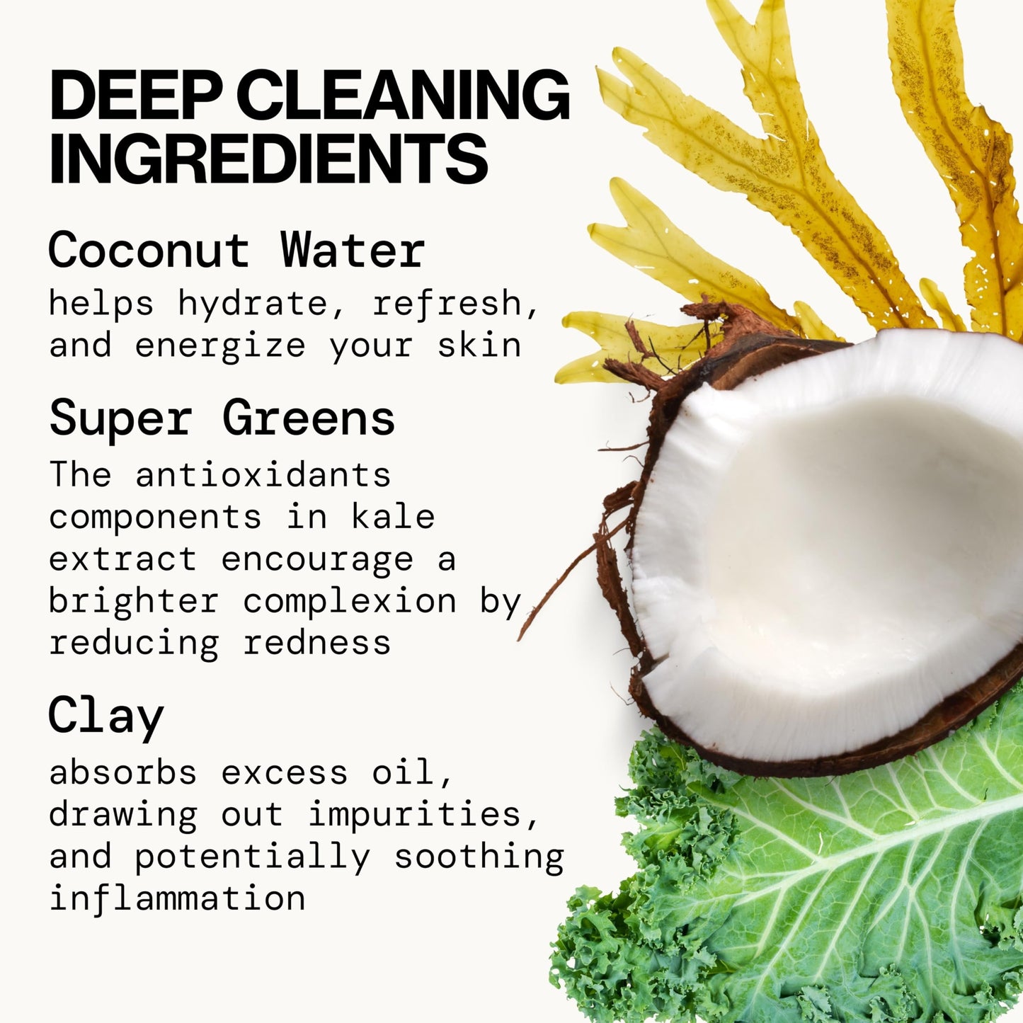 Pacifica Kale Detox Face Wash for Oily & Acne-Prone Skin, Deep Cleansing Facial Cleanser & Makeup Remover with Super Greens Kale, Seaweed & Clay, 5 fl Beauty & Personal Care Pacifica