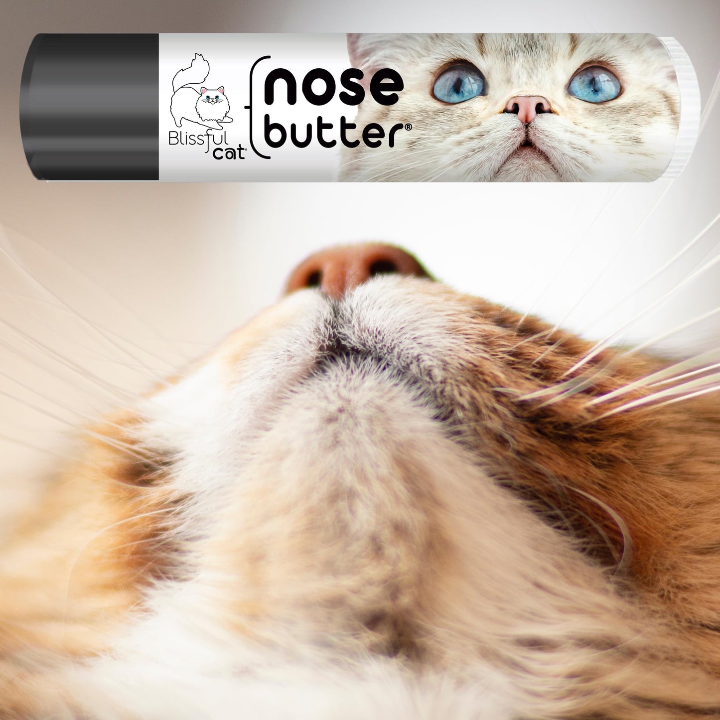 The Blissful Cat Nose Butter, 0.15-Ounce Beauty and Personal Care The Blissful Dog