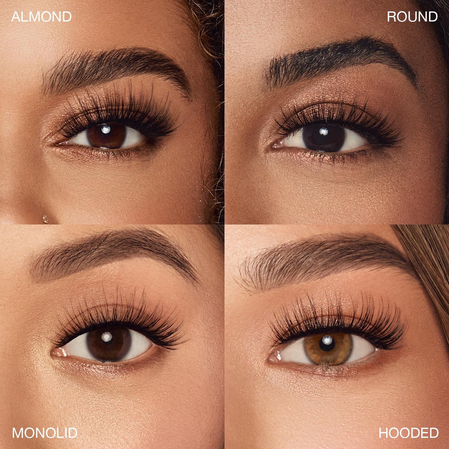 8D Lashes 952 Beauty & Personal Care Ardell