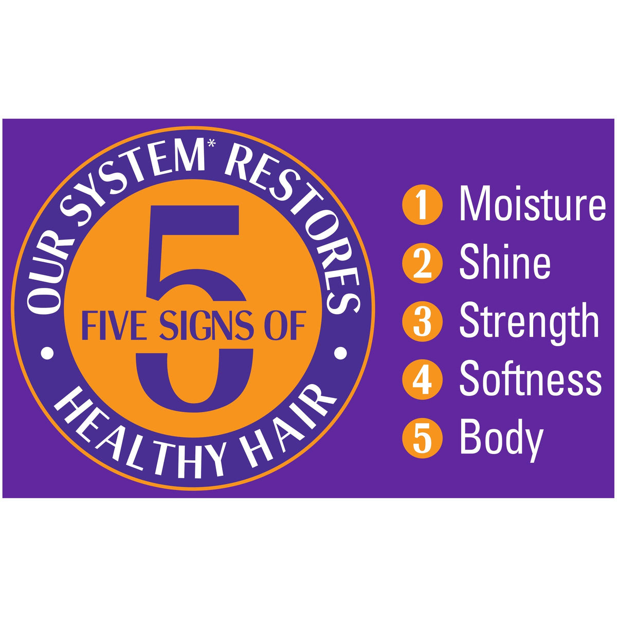 SoftSheen-Carson Dark and Lovely Healthy-Gloss 5 Moisture Leave In Treatment, 8.5 fl oz Beauty & Personal Care SoftSheen