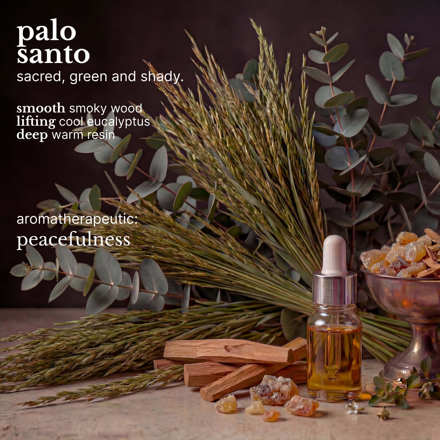 Red Flower Palo Santo Purifying Body Wash - Cleanse & Hydrate Botanical Shower Gel with Organic Fruit & Leaf Extracts for Hydrated, Radiant Skin (10 Beauty & Personal Care Red Flower
