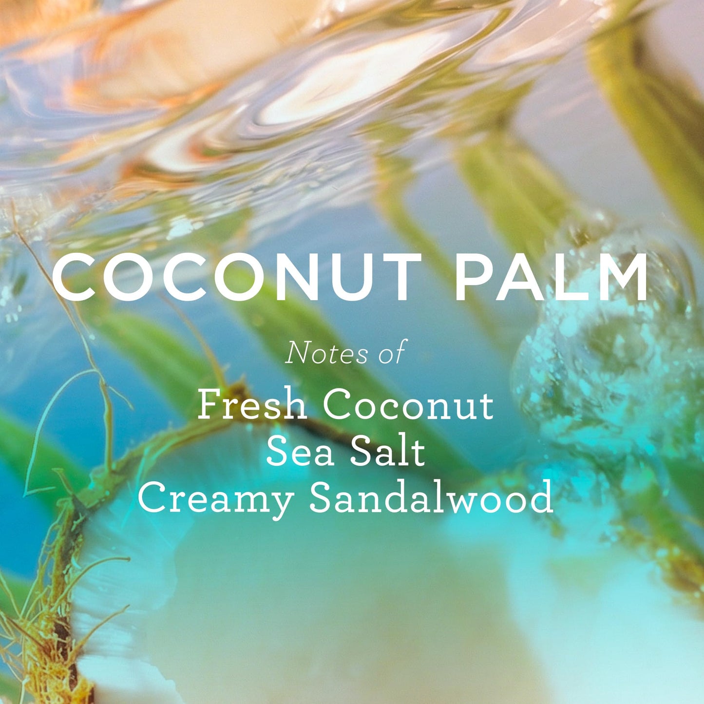 MIX:BAR Coconut Palm Creamy Body Wash for Women, Hydrating & Moisturizing with Niacinamide, Panthenol & Vitamin C - Vegan, Sulfate Free, Paraben Free Beauty & Personal Care MIX:BAR