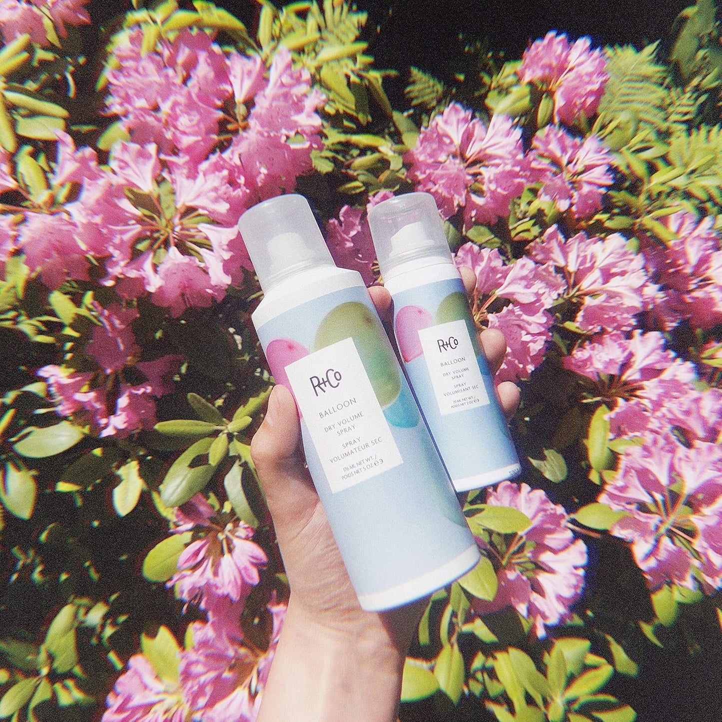 R+Co Balloon Dry Volume Spray Travel | Lightweight, Long Lasting Volume + Touchable Texture | Vegan + Cruelty-Free | 2 Oz Beauty & Personal Care R+Co