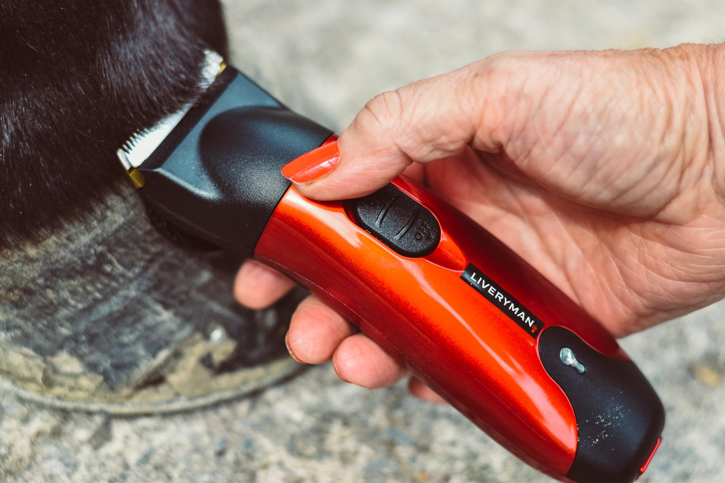 Liveryman Classic Trimmer Beauty and Personal Care Liveryman