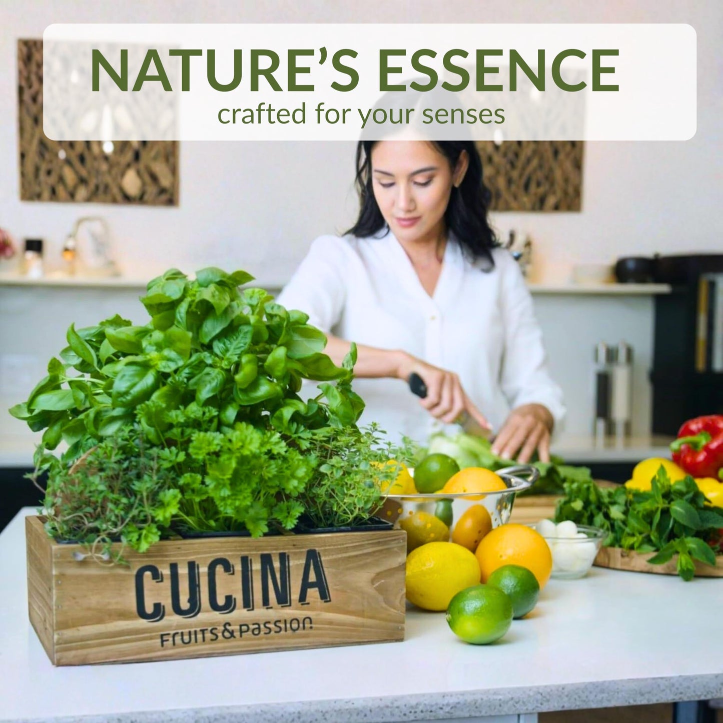 Cucina Fruits & Passion Hand Soap Refill - Coriander & Olive Tree - 1 Liter (33.8 fl oz) - Olive Oil Enriched Kitchen Hand Soap - Biodegradable Beauty & Personal Care Cucina
