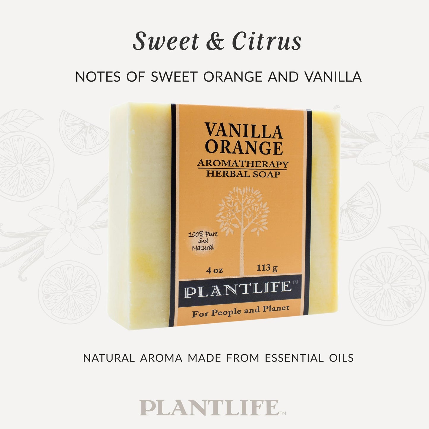 Plantlife Vanilla Orange Bar Soap - Moisturizing and Soothing Soap for Your Skin - Hand Crafted Using Plant-Based Ingredients - Made in California 4oz Beauty & Personal Care Plantlife