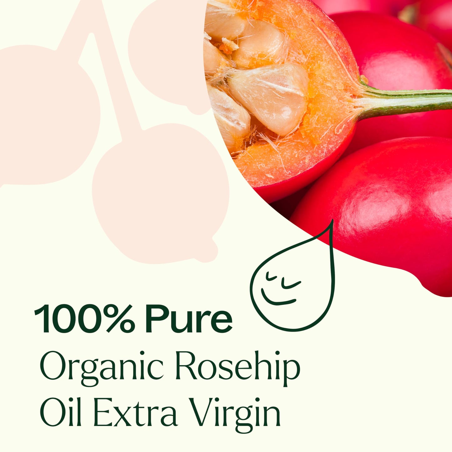 Plant Therapy Organic Rosehip Carrier Oil 4 oz For Skin and Hair Cold Pressed Supports Skin Hydration Fine Lines & Wrinkles Extra Virgin, Vitamins A Beauty & Personal Care Plant Therapy
