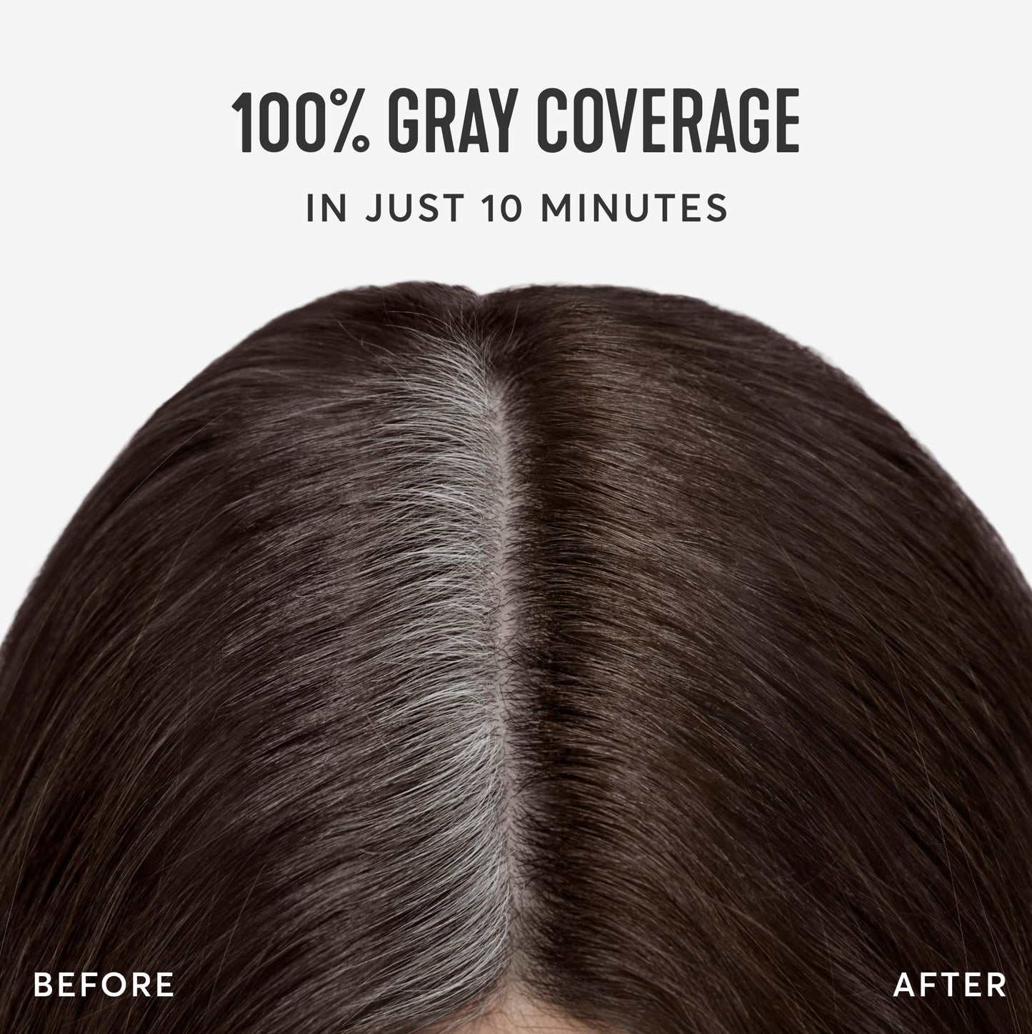 Madison Reed Root Perfection Root Touch Up Kit - 5N Calabria Dark Brown, 2 Permanent Applications, 100% Gray Coverage in 10 Min | PPD-Free Beauty & Personal Care Madison Reed