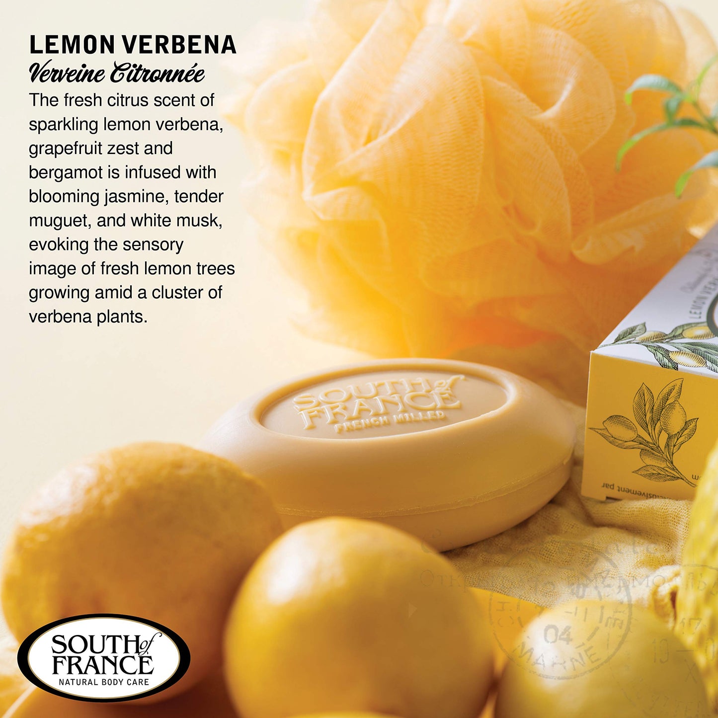 Lemon Verbena Clean Bar Soap by South of France Clean Body Care Triple-Milled French Soap with Organic Shea Butter + Essential Oils Vegan, Non-GMO Beauty & Personal Care South Of France
