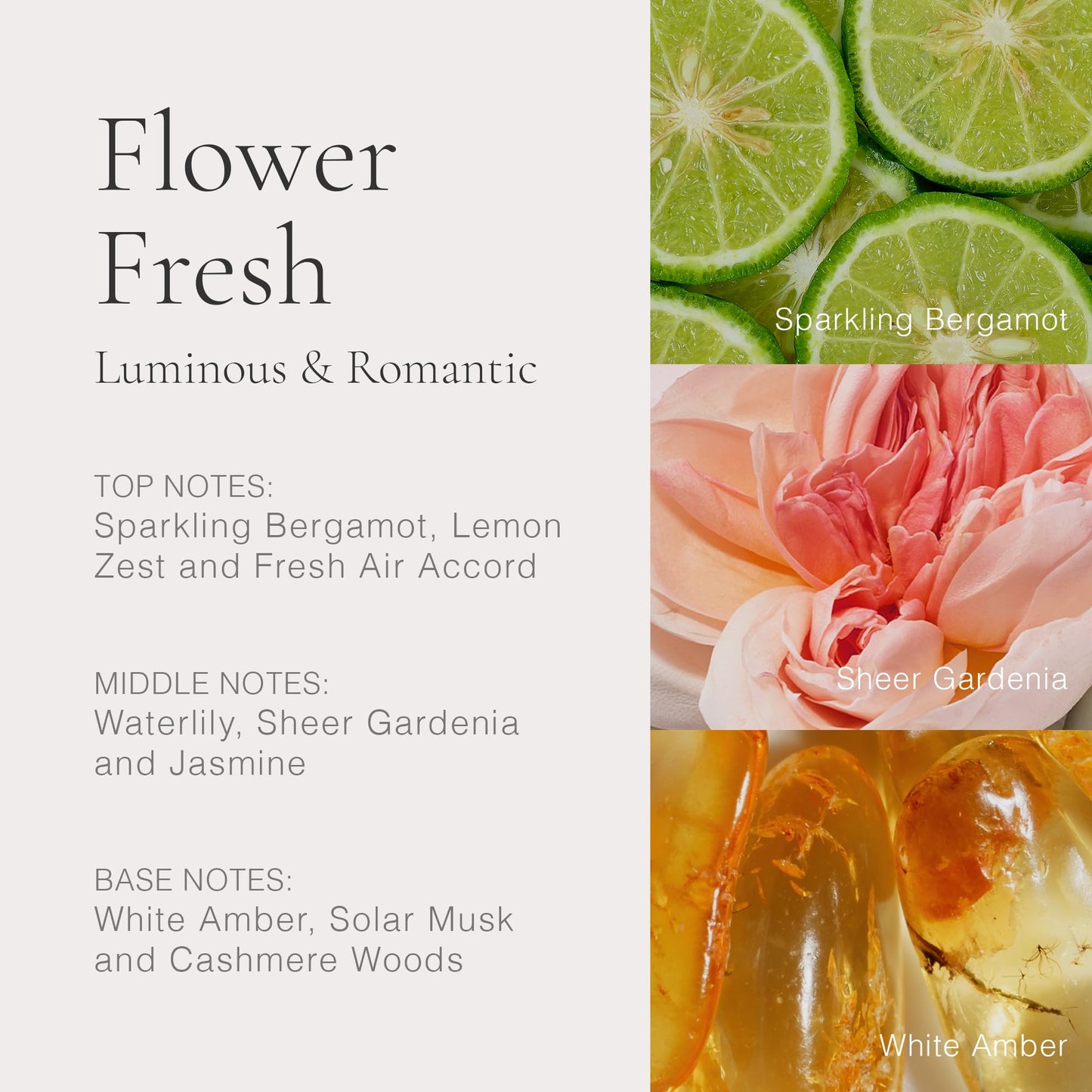 CLEAN CLASSIC Flower Fresh 30mL Beauty & Personal Care CLEAN