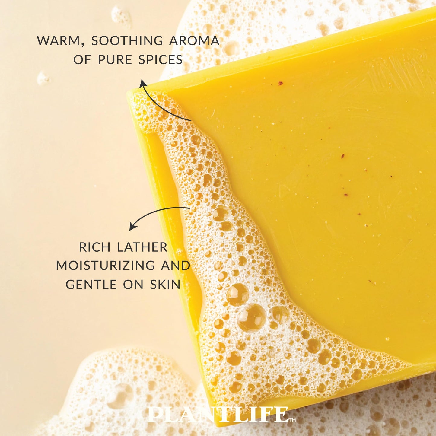 Plantlife Pumpkin Spice Bar Soap - Moisturizing and Soothing Soap for Your Skin - Hand Crafted Using Plant-Based Ingredients - Made in California 4oz Beauty & Personal Care Plantlife