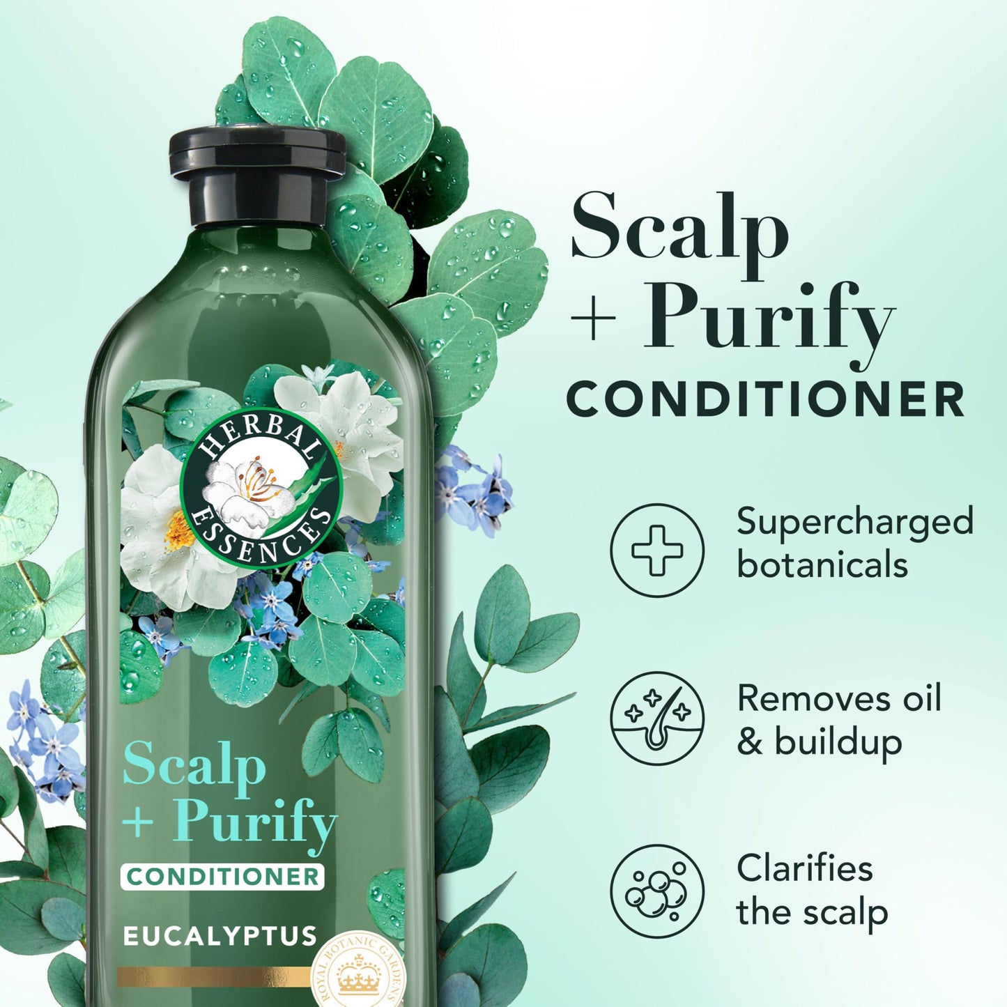 Herbal Essences Scalp + Purify Eucalyptus Sulfate Free Shampoo and Conditioner, and All-in-One Nourishing Spray Set Beauty & Personal Care Herbal Essences