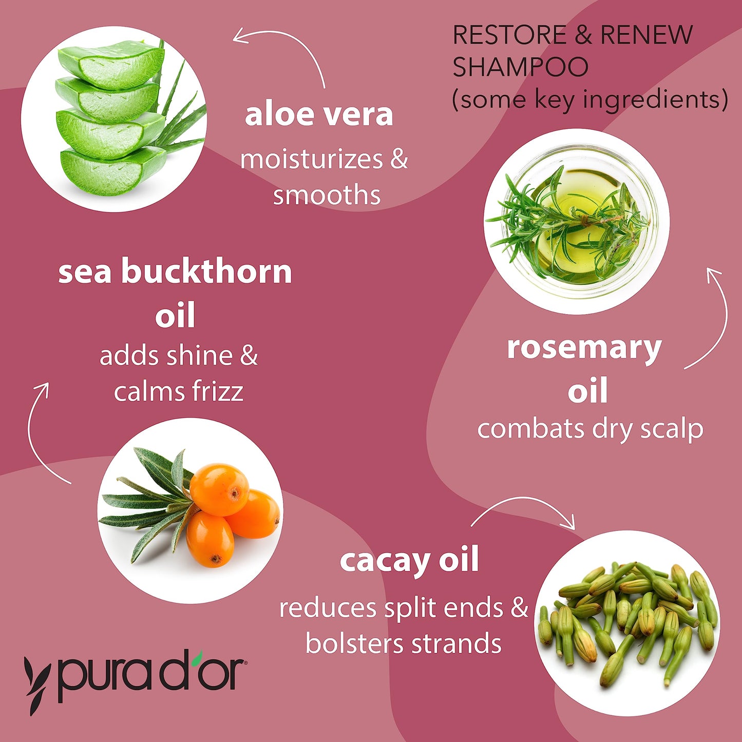 PURA D'OR Restore & Renew Shampoo and Conditioner Set for Strong, Healthy, and Nourished Hair with Organic Aloe Vera, Rosemary, Sea Buckthorn, Cacay Beauty & Personal Care PURA D'OR