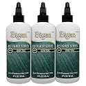 Bigen DT3 Dark Teal Designer Series Semi-Permanent Hair Color (pack of 3) Beauty & Personal Care Bigen