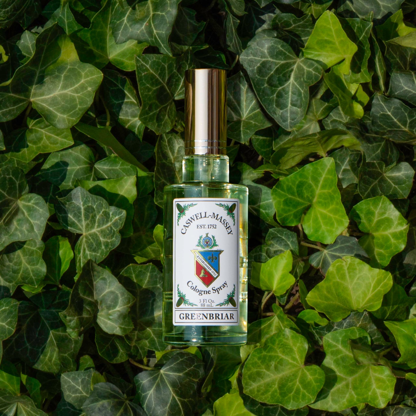 Caswell-Massey Greenbriar Cologne, Men’s Cologne with Classic and Zesty Scent with Citrus, Sage & Rugged Velvety Notes, 3 Fl Oz Beauty & Personal Care Caswell-Massey