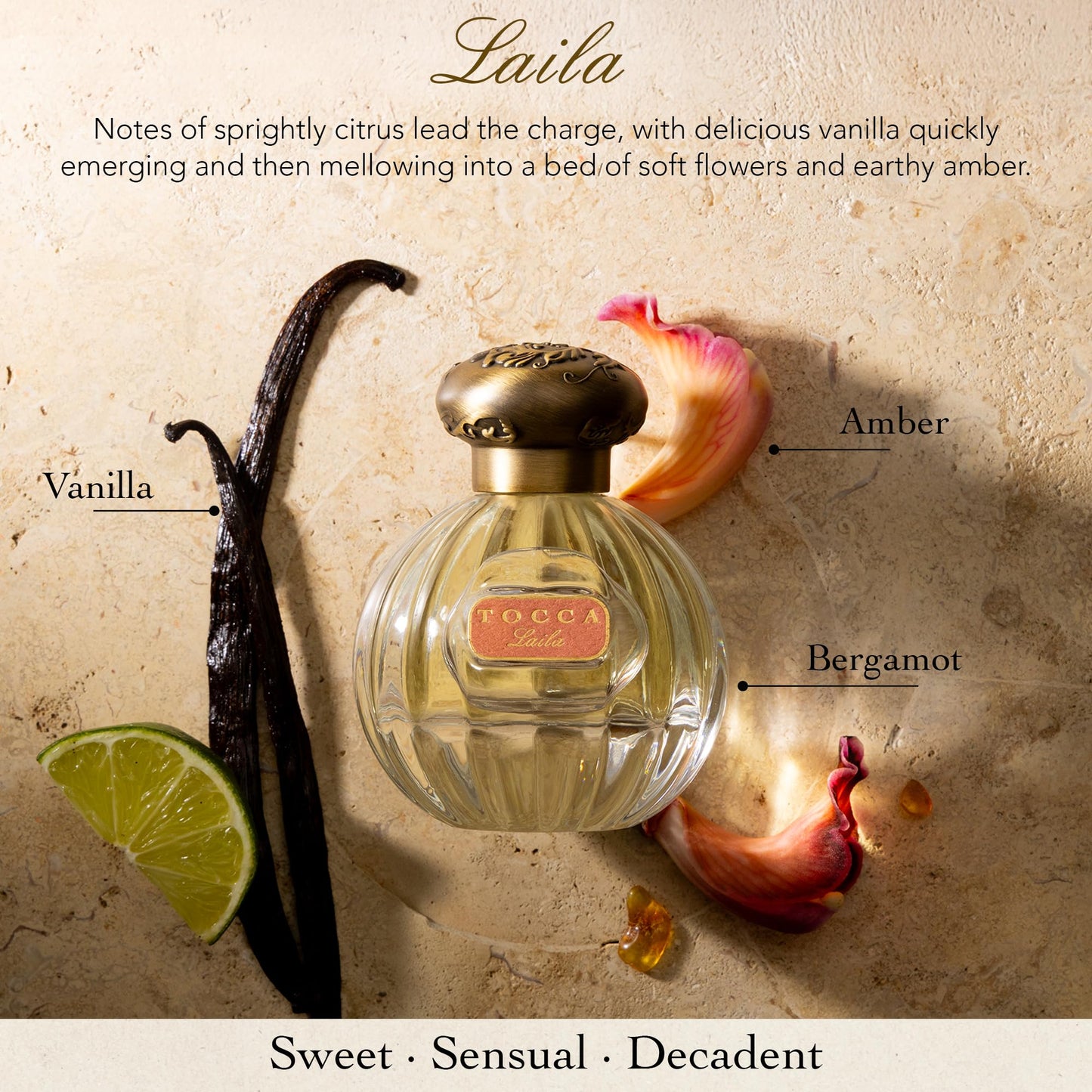 Tocca Wonders Collection Mini Perfume Gift Set ($45 Value) - Trio Includes Florence, Lucia and Laila, 5 ml Each Perfume Dabbers Beauty & Personal Care Tocca