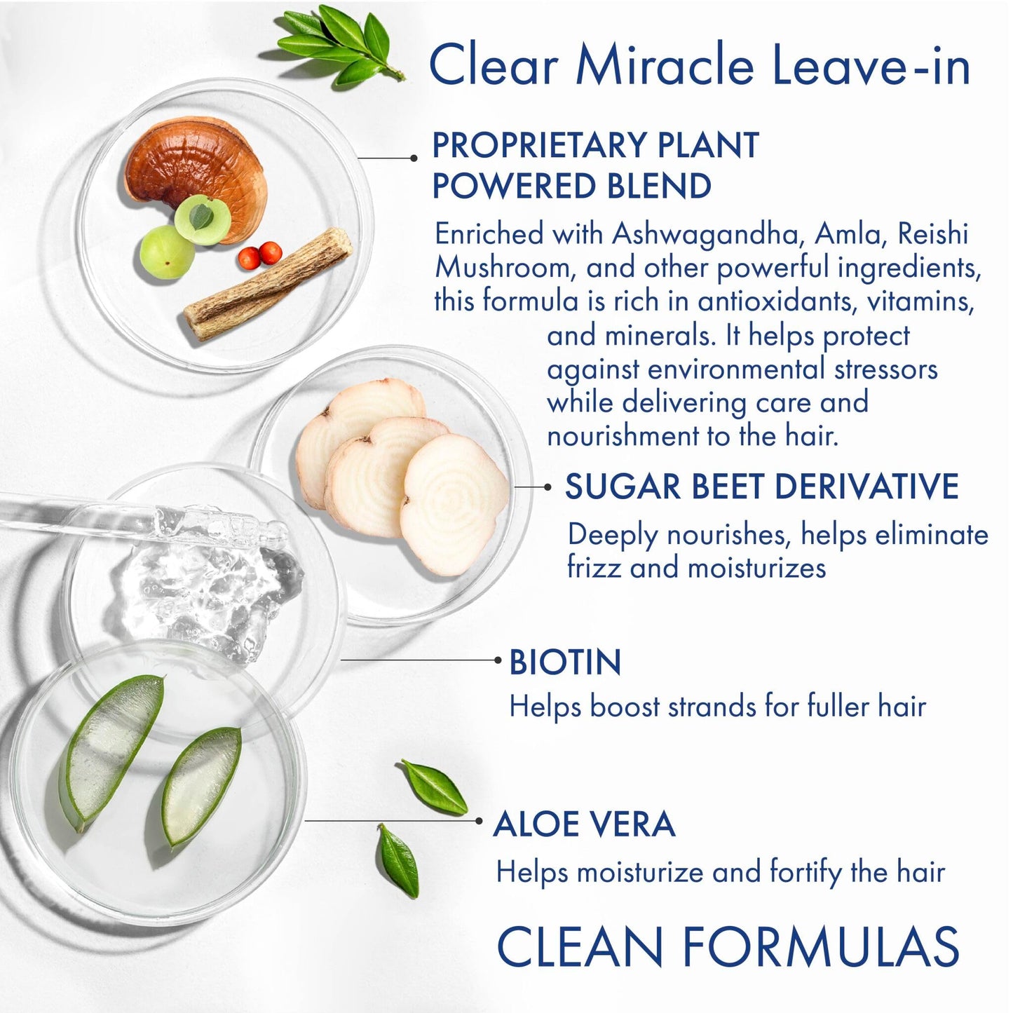 It’s a 10 Clear Miracle Leave-in Product 4 oz Beauty & Personal Care It's a 10 Haircare