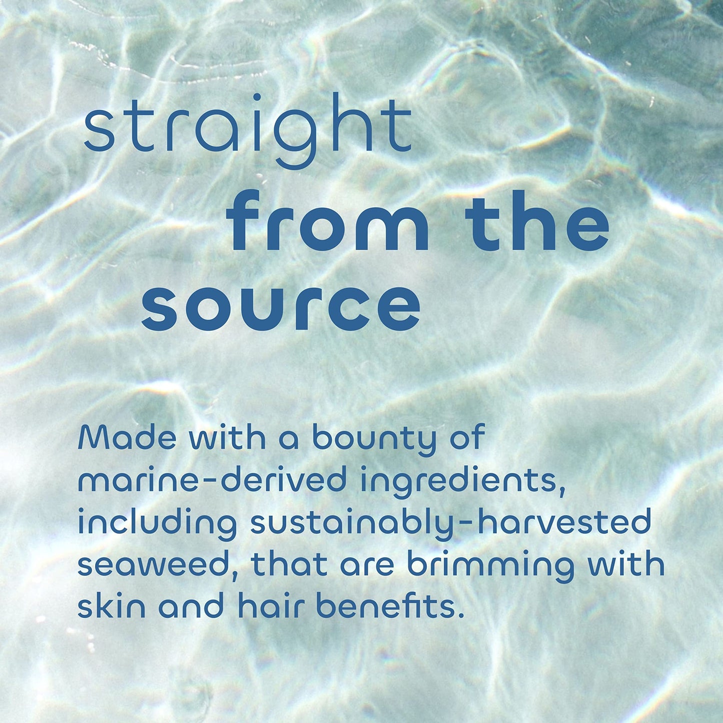 Seaweed Bath Co. Gentle Shampoo and Conditioner Set - Unscented - Nourishing Hair Care With Hyaluronic Acid, Aloe, Argan Oil, For Sensitive Scalps Beauty & Personal Care The Seaweed Bath Co.
