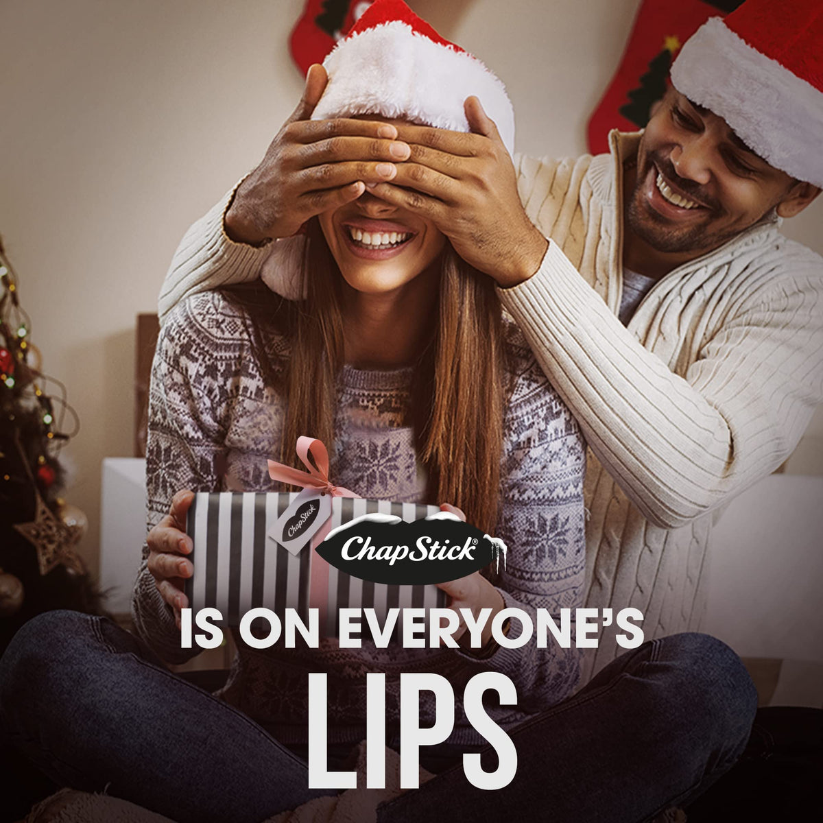 ChapStick Holiday Collection Holiday Lip Balm Variety Gift Box - 0.15 Oz (Pack of 5) Beauty & Personal Care ChapStick
