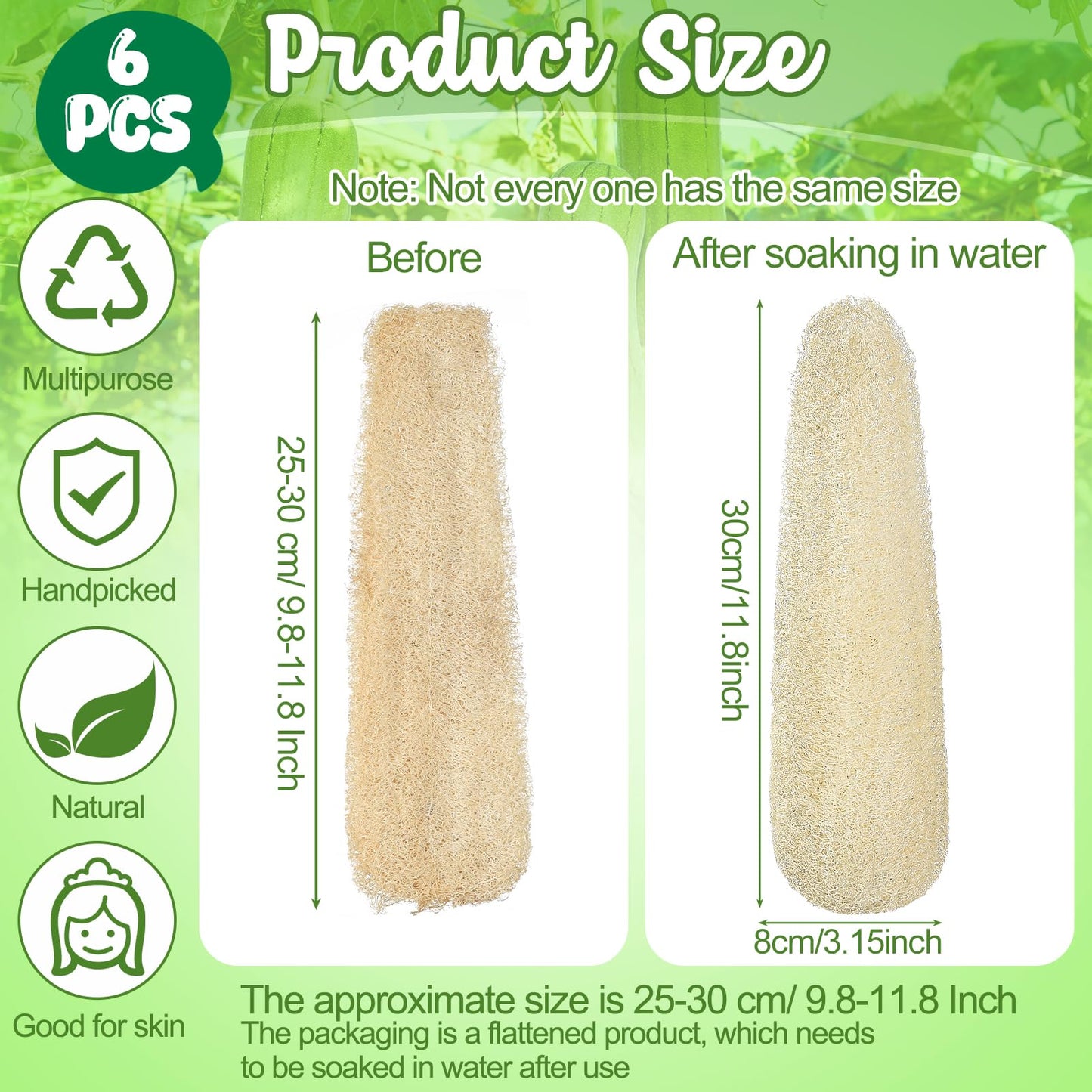 ZhouBoat 11.8 inches Natural Loofah Sponges Pack of 6, for Kitchen Dishes Body Scrubber Beauty and Personal Care ZhouBoat