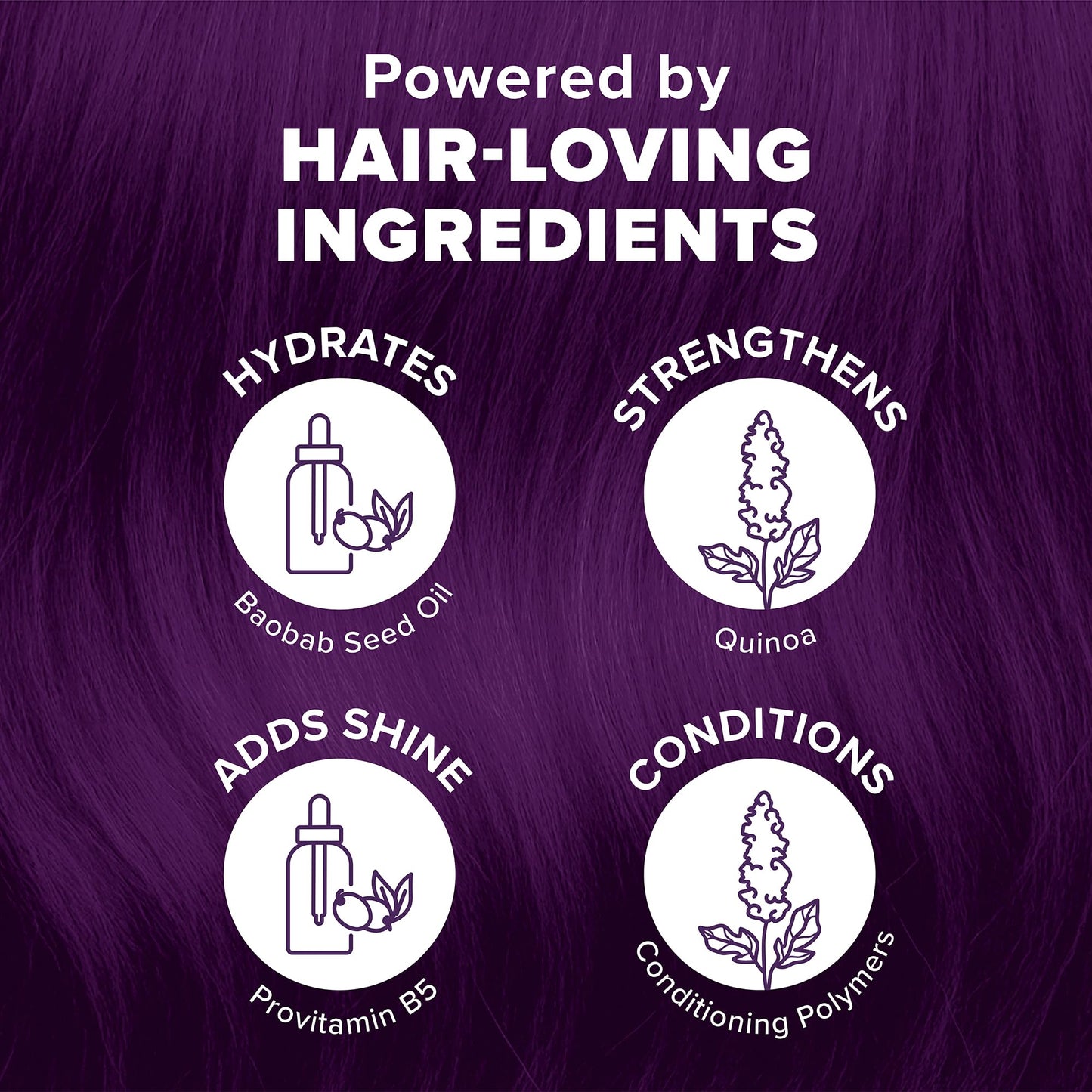Splat Hair Splat Rebellious Colors 30 Wash No Bleach Needed Hair Color Kit, Midnight Violet, 6 Oz Beauty & Personal Care Splat