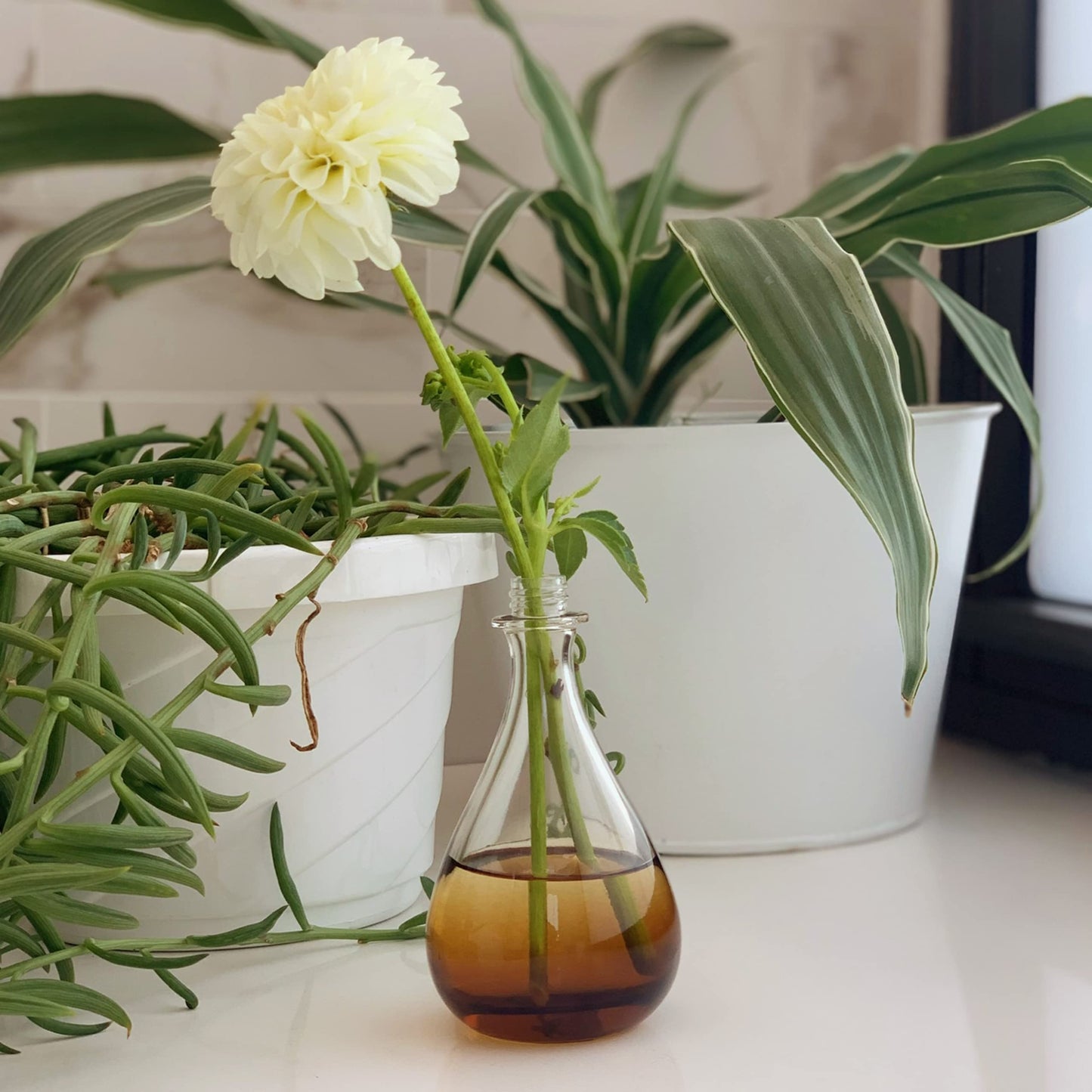 ESSCENTIALS Have a Good Day! Fragrance Mist by Scent Beauty - Beautiful and Light Spray Fragrance from Nature - Vegan and Non-Toxic Mist Featuring Beauty & Personal Care ESSCENTIALS