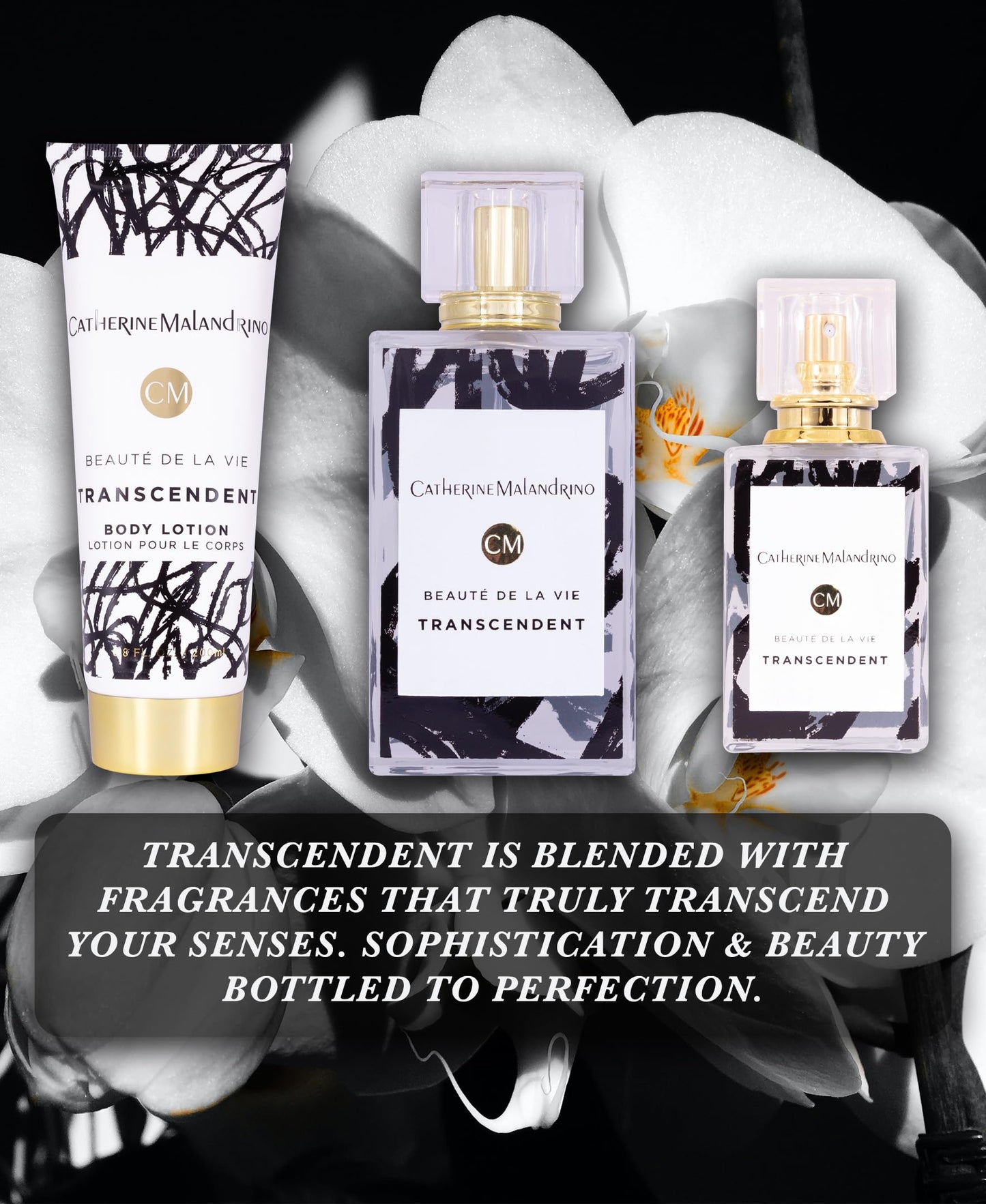 Transcendent by Catherine Malandrino Eau de Parfum 3 Piece Gift Set for Women Beauty & Personal Care Catherine Malandrino