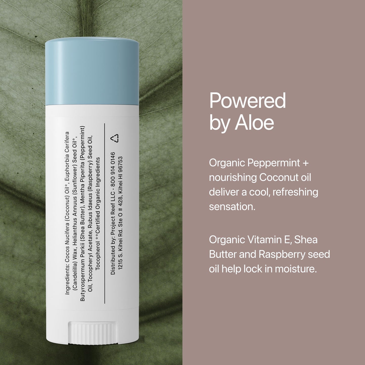 Project Reef Herbal Peppermint Lip Balm - Vegan, Reef-Safe & Hydrating Lip Care with Organic Peppermint, Shea Butter & Vitamin E - Natural Sunburn Beauty and Personal Care Project Reef
