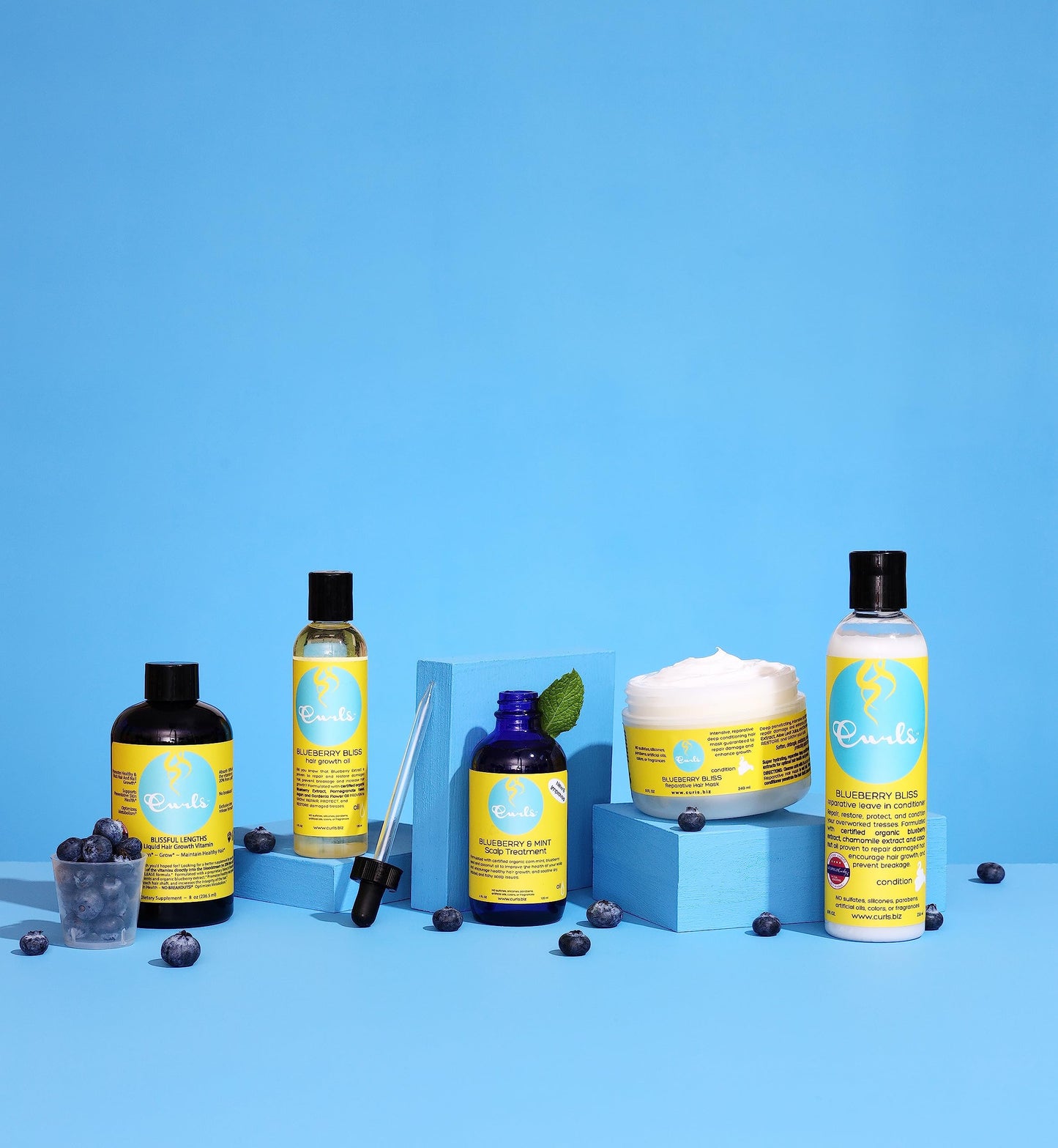 Curls Blueberry Bliss Reparative Leave In Conditioner - Repair Damage and Prevent Breakage - Encourage Hair Growth - For Wavy, Curly, and Coily Hair Beauty and Personal Care Curls