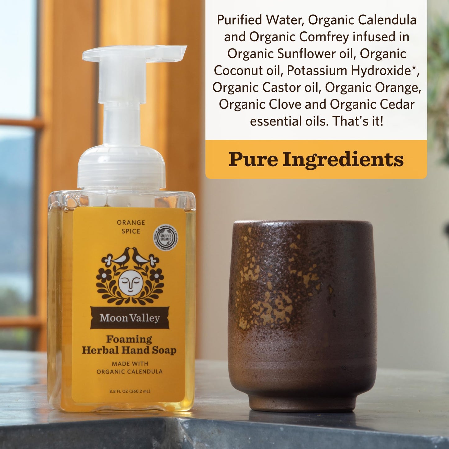 Moon Valley Herbal Foaming Hand Soap, Orange Spice Two Pack, Vegan, Recyclable Bottle Beauty & Personal Care Moon Valley Organics