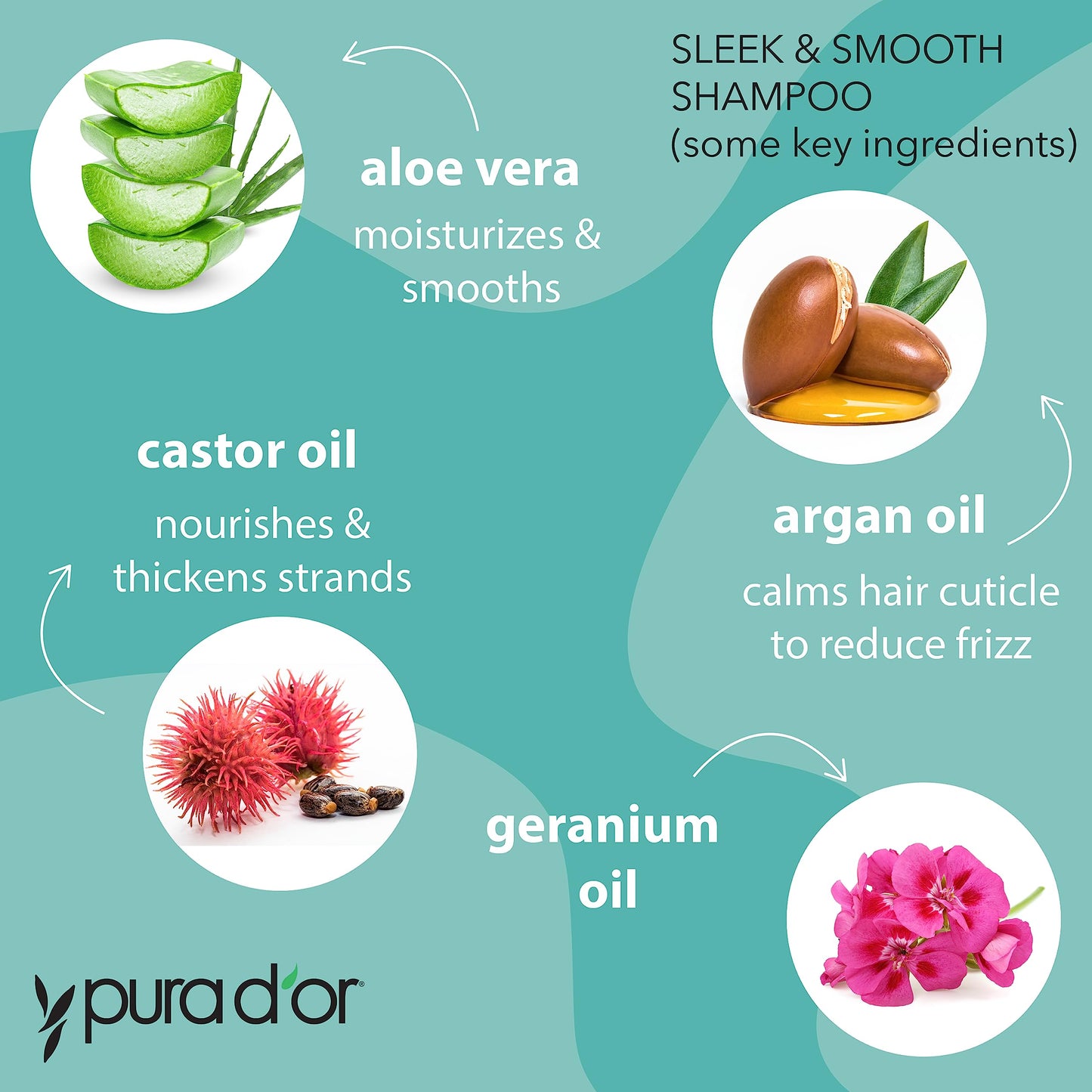 PURA D'OR Sleek & Smooth Shampoo and Conditioner Set For Frizz-Free & Silky Smooth Hair, Infused with Organic Aloe Vera, Argan Oil, Castor Oil Beauty & Personal Care PURA D'OR