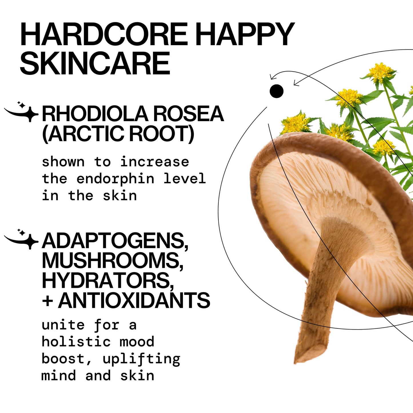 Pacifica Happy Water Hydrating Facial Toner - Vegan Ceramides, Hyaluronic Acid & Electrolytes, Refreshing & Calming for Balanced Skin, Clean Beauty Beauty & Personal Care Pacifica