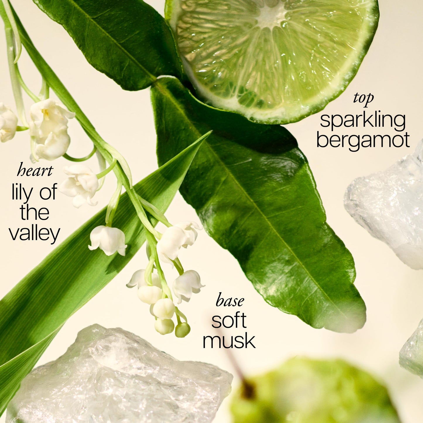 philosophy amazing grace eau de toilette 4 fl oz Beauty & Personal Care philosophy