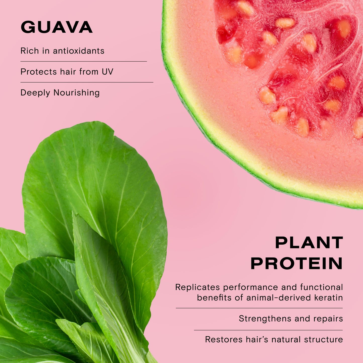 Ceremonia Guava Hair Mask Color Protection and Damage Repair with Agave, 7.8 Fl Oz | 230 mL Beauty & Personal Care Ceremonia