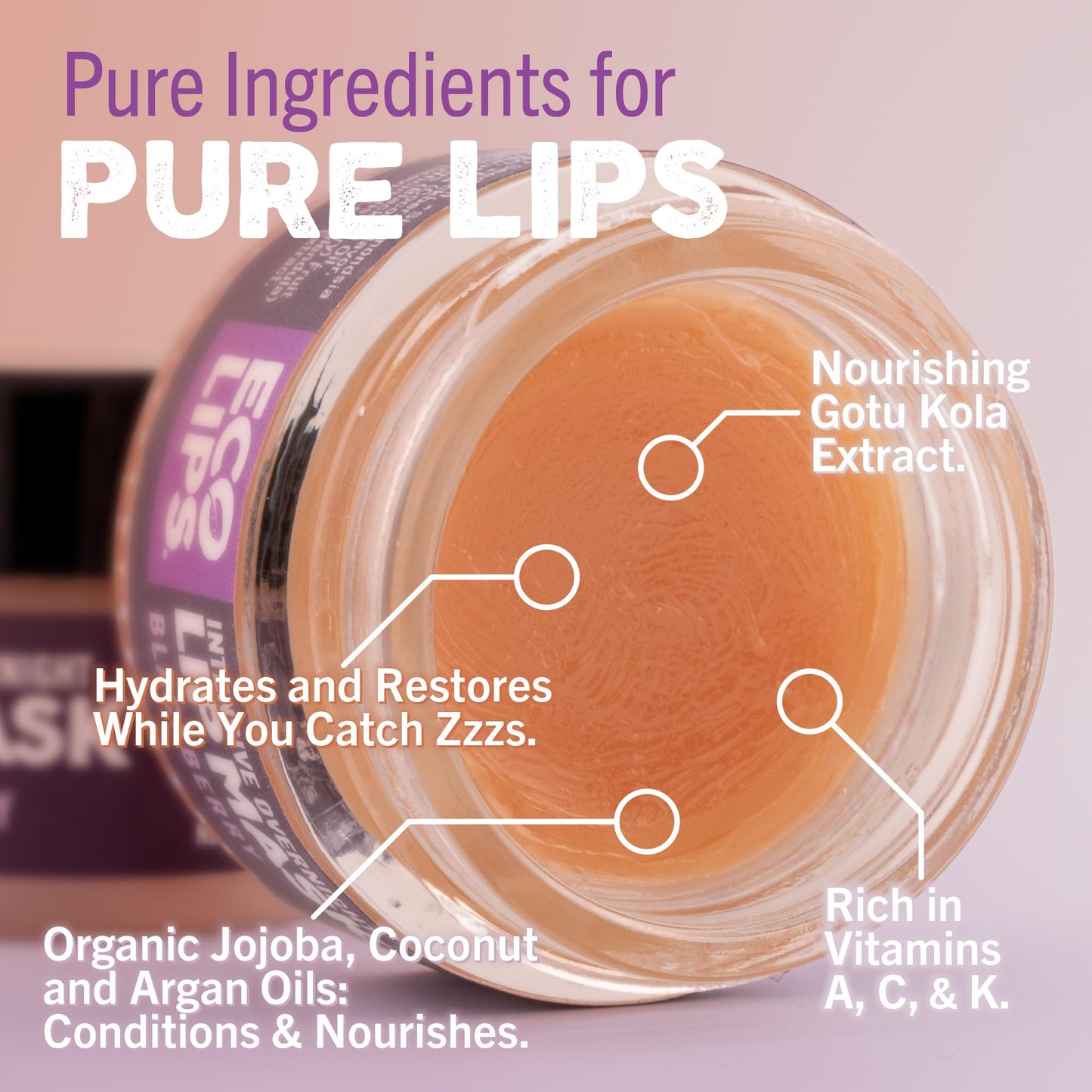 Eco Lips Blackberry Intensive Overnight Lip Mask 2-pack (0.39 oz.)- Repair & Restore Dry, Cracked, Chapped Lips Overnight - 100% USDA Organic Lip Care Beauty & Personal Care Eco Lips