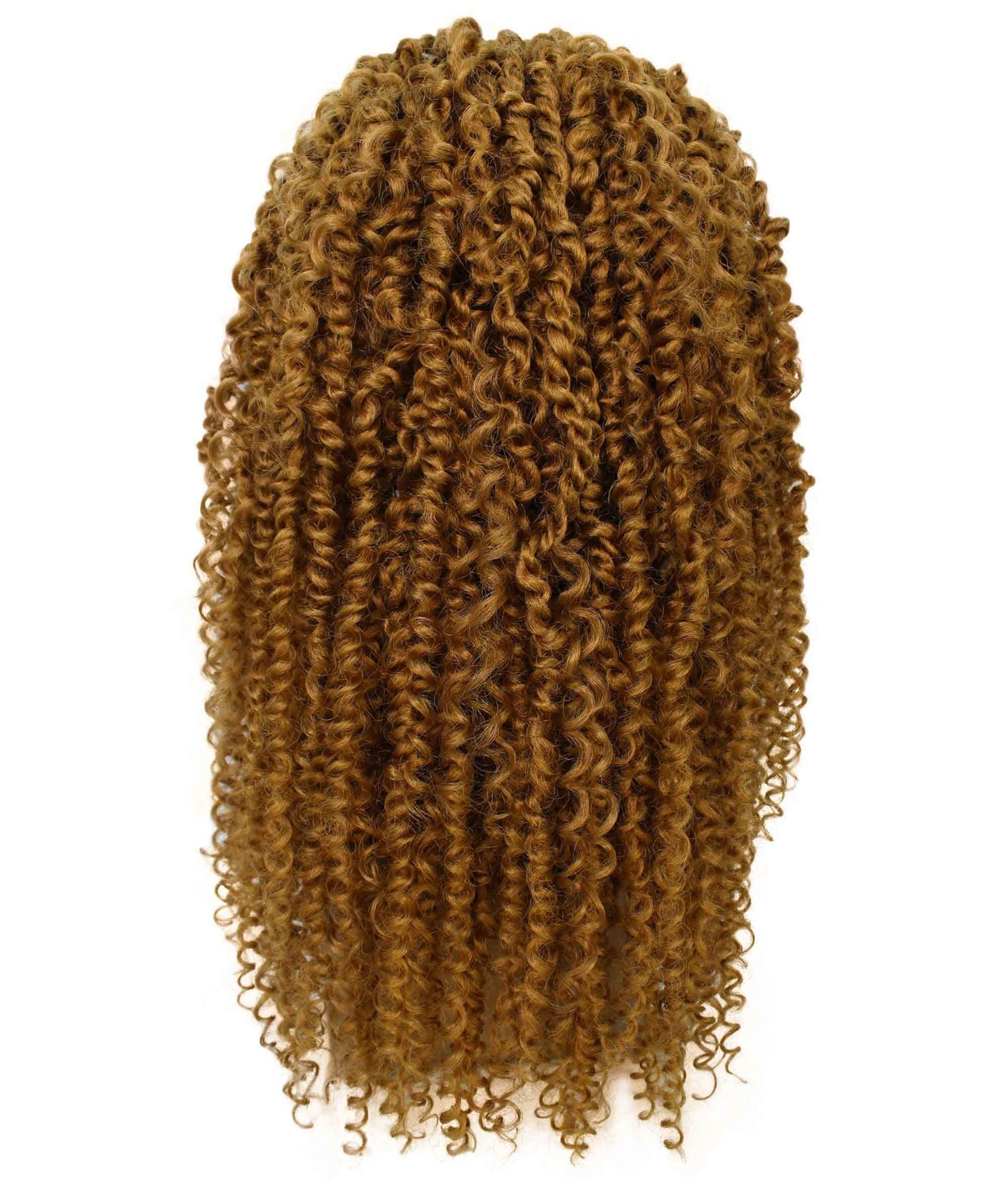 LUXLUXE Tierra Curly 19 in Long 4x4 Hand Tied Lace Braid Braided Wig, Beauty Heat Resistant Fiber, 20+ Shades of Natural, Dip Dyed, & Blended Colors