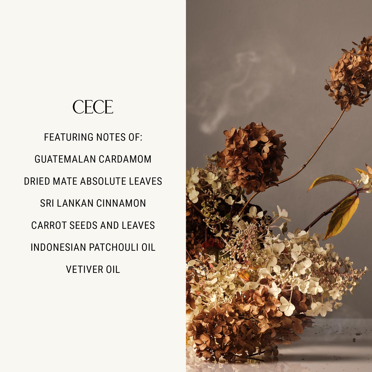 Homecourt Hand Wash, Gently Cleanses & Hydrates, Removes Dirt & Debris Without Irritating Skin, Clean Formula, Cece 2.0, 12 fl oz Beauty & Personal Care Homecourt