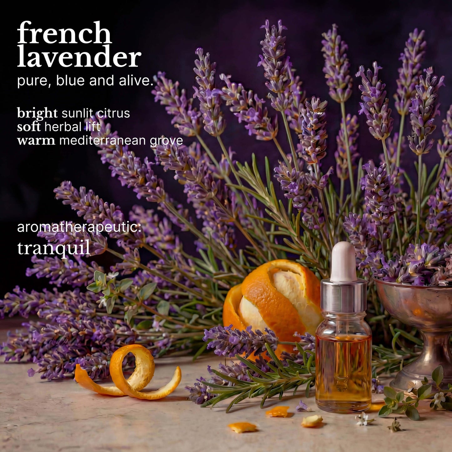 Red Flower French Lavender Purifying Body Wash - Cleanse & Hydrate Botanical Shower Gel with Organic Fruit & Leaf Extracts for Hydrated, Radiant Skin Beauty & Personal Care Red Flower