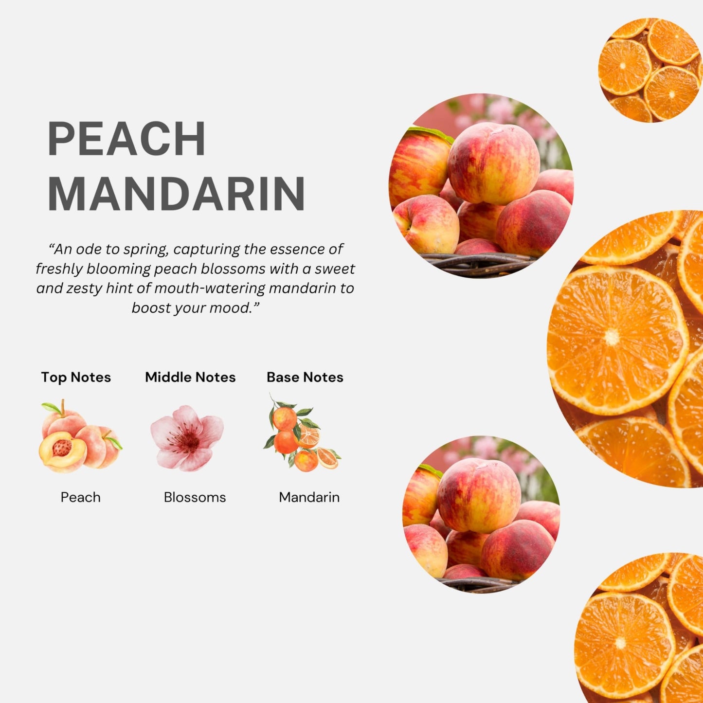 Cucina Fruits & Passion Peach and Mandarin Hand Soap, 200ml Beauty & Personal Care Cucina