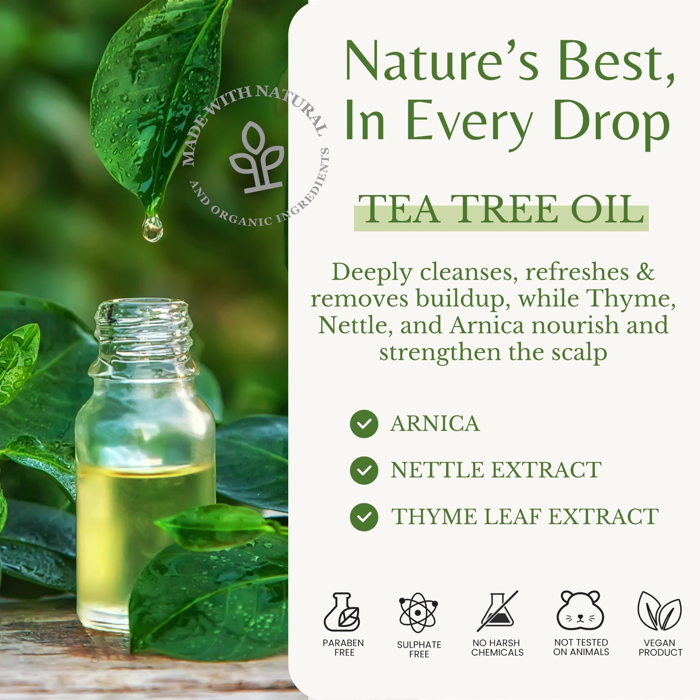 EDENIKA BOTANICALS Tea Tree Oil Shampoo and Conditioner Set, Deep Cleansing for Buildup & Oily Scalp, Soothes Itchy Scalp & Refreshes Hair, Sulfate Beauty & Personal Care EDENIKA BOTANICALS