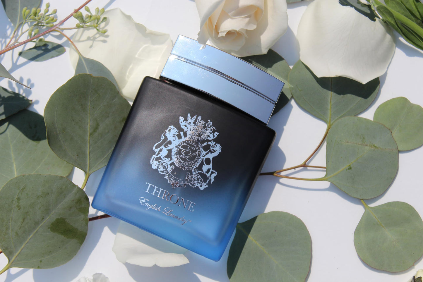 English Laundry Throne 3.4oz Eau de Parfum, 3.4 fl. oz. Beauty & Personal Care English Laundry
