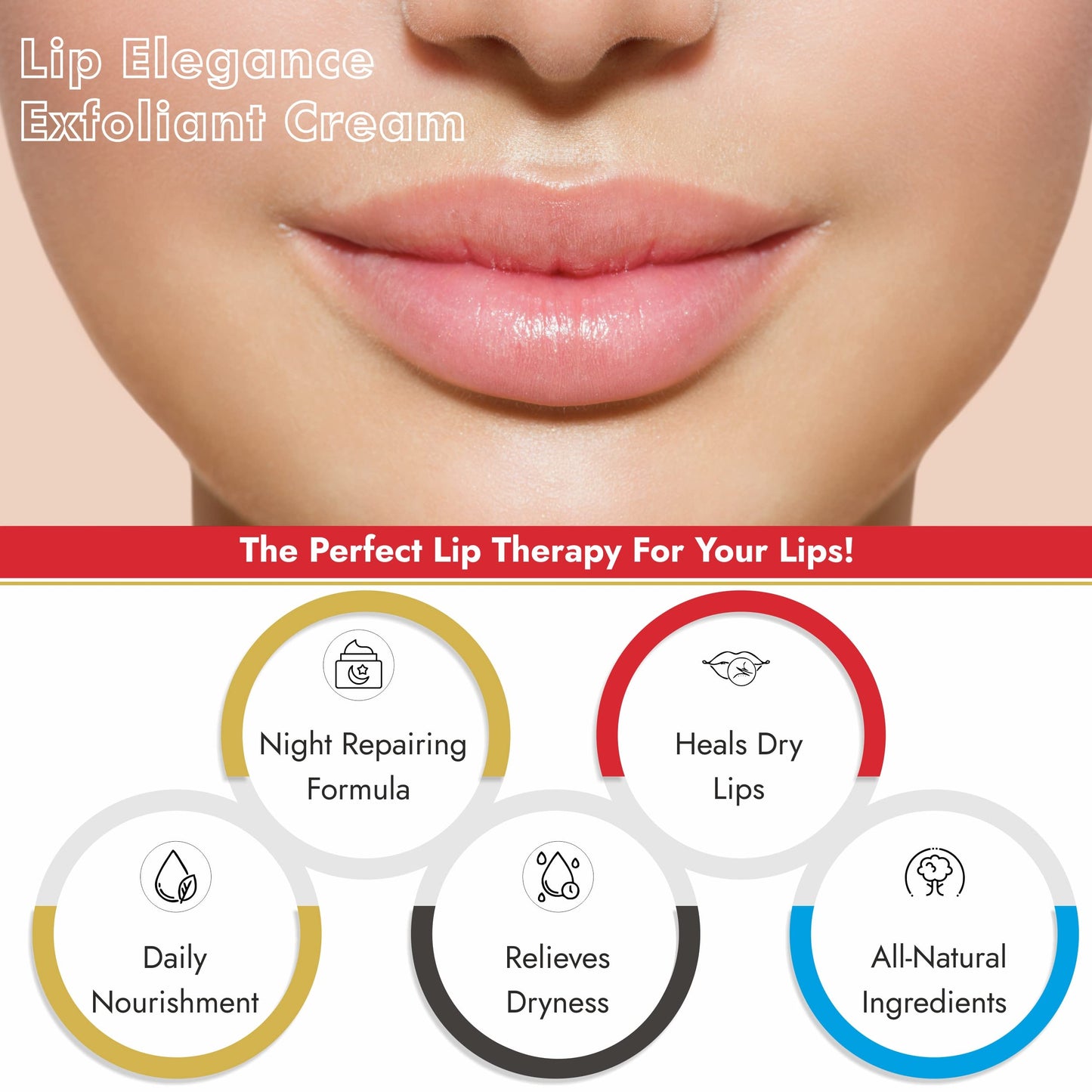 Lip Elegance Lip Exfoliator Cream - Intense Lip Repair and Lip Treatment Lip Exfoliant Cream - Lip Scrub Cream for Everday Lip Care - 0.34 Oz Beauty and Personal Care Lip Elegance