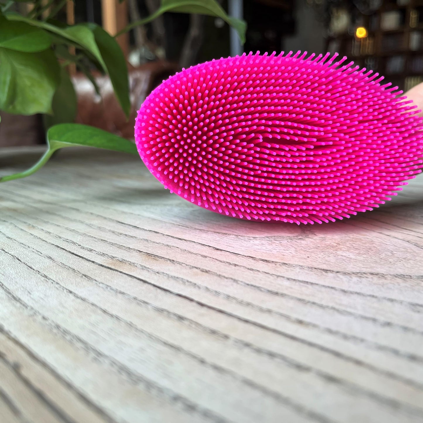 Premium Sensory Brush for Kids or Autism,Soft Silicone Body Scrubber,2 in 1 Sensory Room Occupational Therapy Sensory Brushes,Silicone Loofah,Pets Beauty and Personal Care penepico
