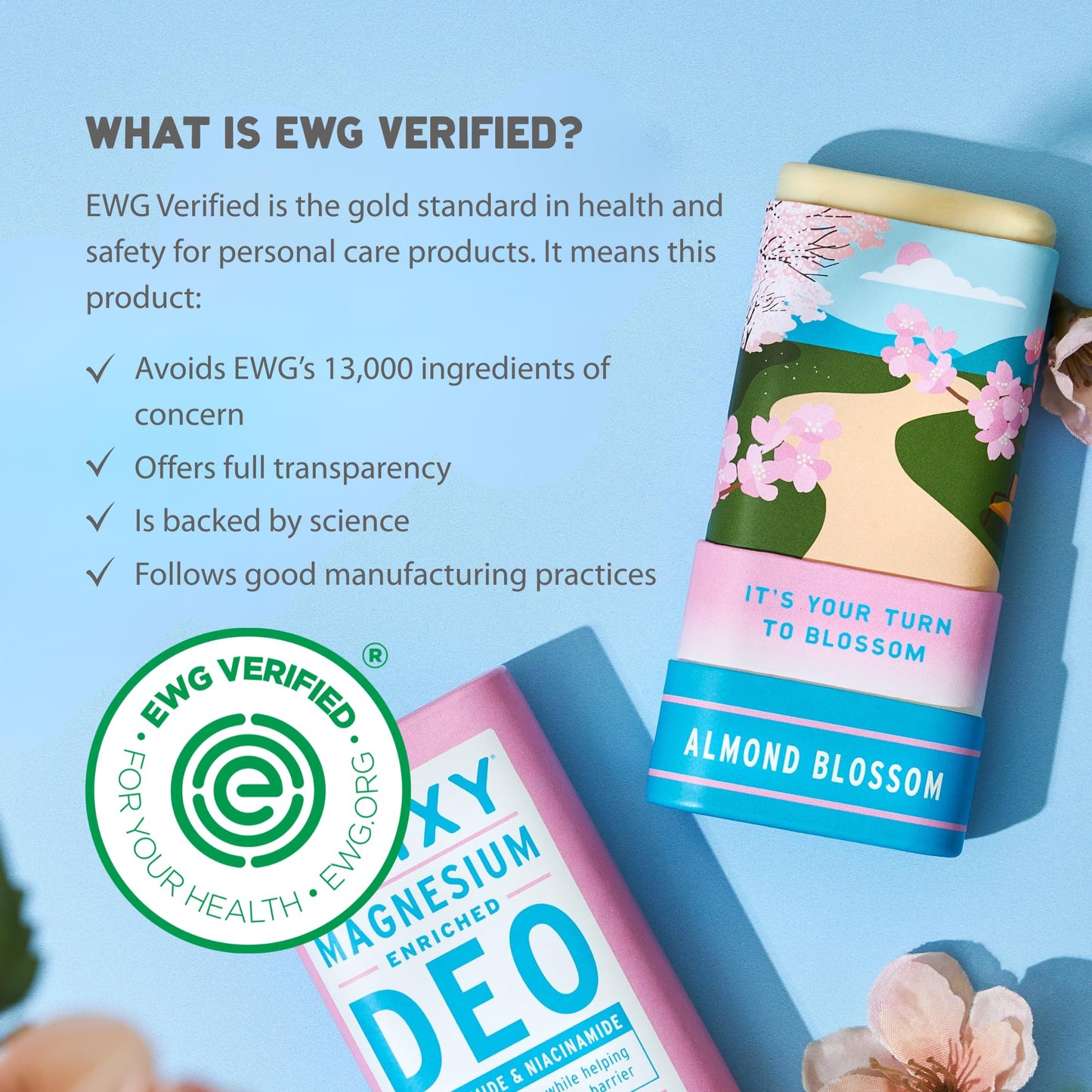 BRIXY Magnesium Deodorant, Ceramide & Niacinamide, Aluminum Free, Baking Soda Free, Plastic Free Packaging, Vegan and Certified Cruelty Free, Patent Beauty and Personal Care BRIXY