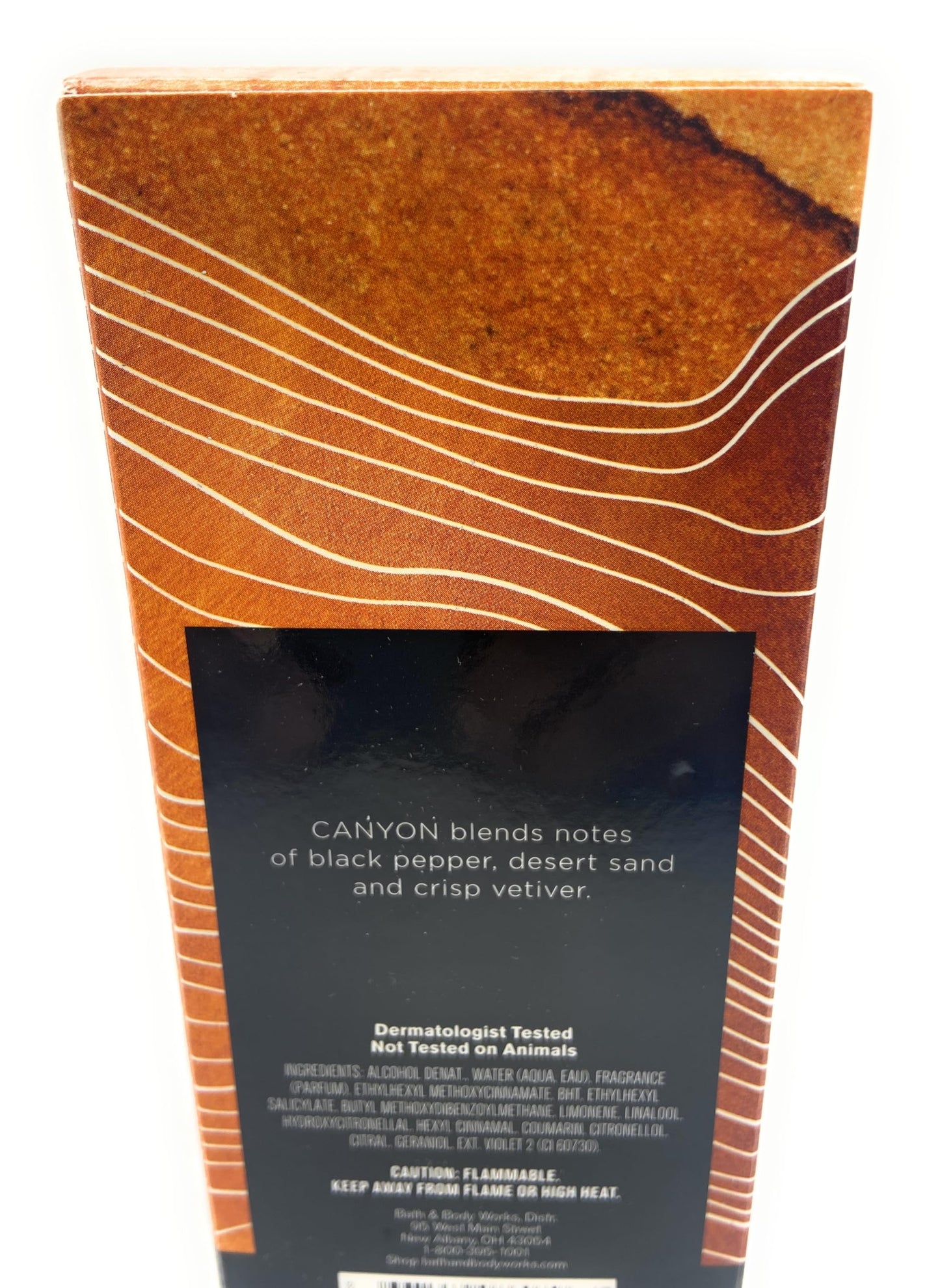 Bath and Body Works Canyon Cologne For Men 3.4 Fluid Ounce Spray Beauty & Personal Care Bath & Body Works