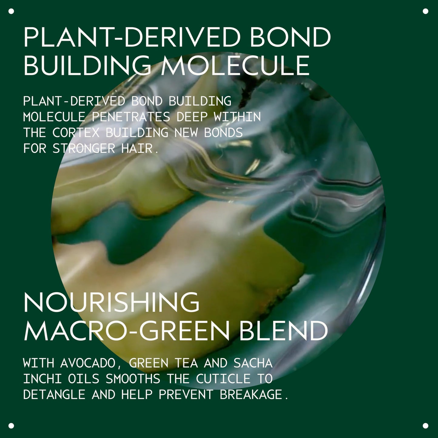 Aveda Botanical Repair Strengthening Shampoo & Conditioner Set | Strengthens & Repairs Damaged Hair | Helps Prevent Breakage | Bond-Building | Beauty & Personal Care Aveda