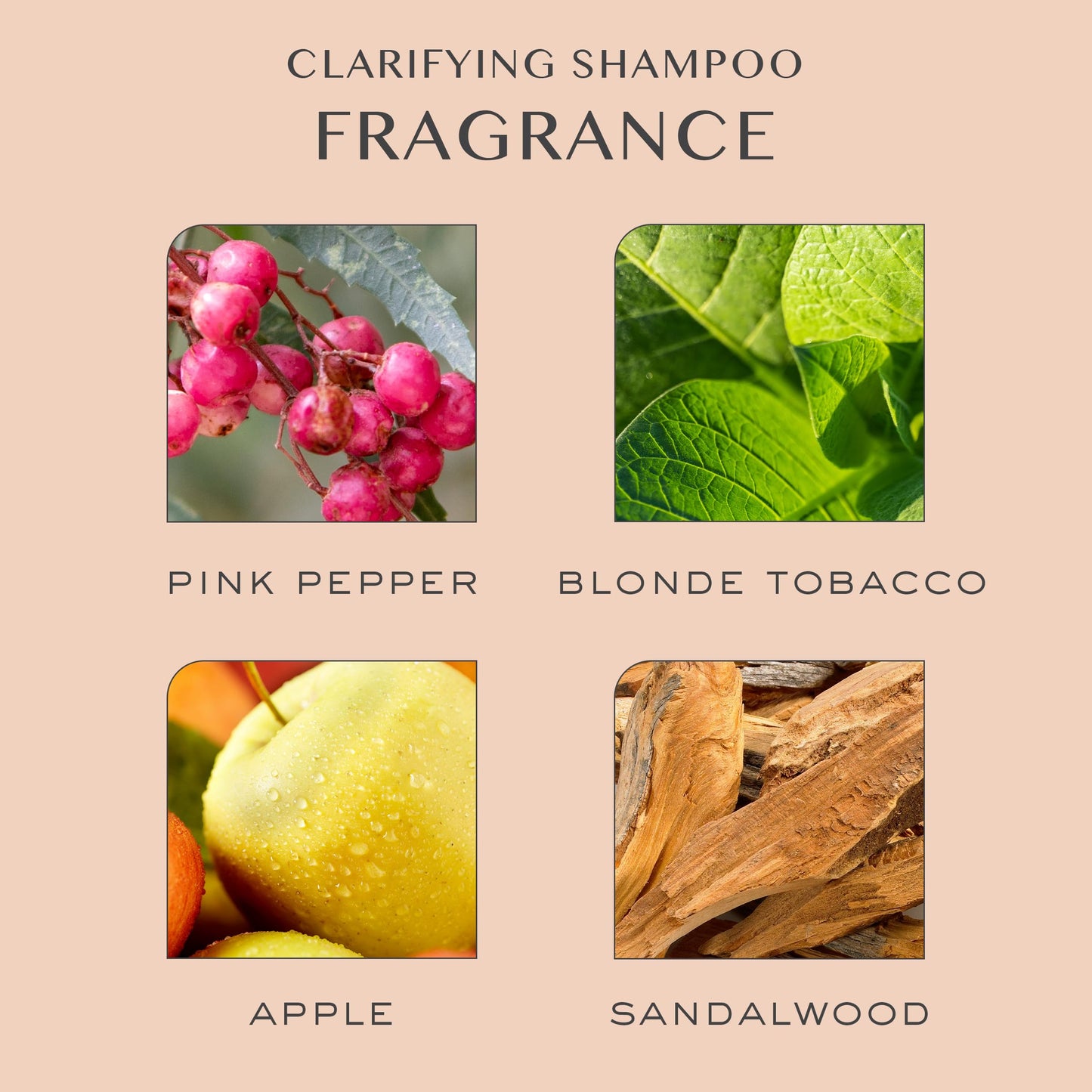 Kristin Ess Clarifying Detox Shampoo for Oily Hair, Build Up + Hard Water - Anti Residue Purifying + Cleansing Shampoo with Pump - Volumizing -Sulfate Beauty and Personal Care Kristin Ess