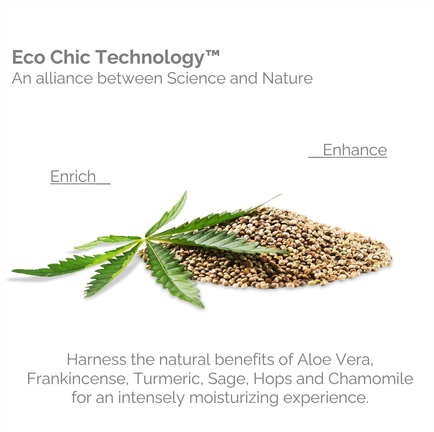 GIOVANNI Hemp Hydrating Hair Shine Spray - Contains Hemp Seed Oil, Aloe Vera, Frankincense, Helps Stimulate, Moisturize & Revitalize Damaged Hair, No Beauty & Personal Care GIOVANNI