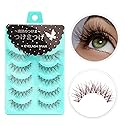 Dorisue Wispy eyelashes Brown lashes Natural looking false eyelashes Lightweight Reuseable 5 Pair Set X4 Beauty & Personal Care Dorisue
