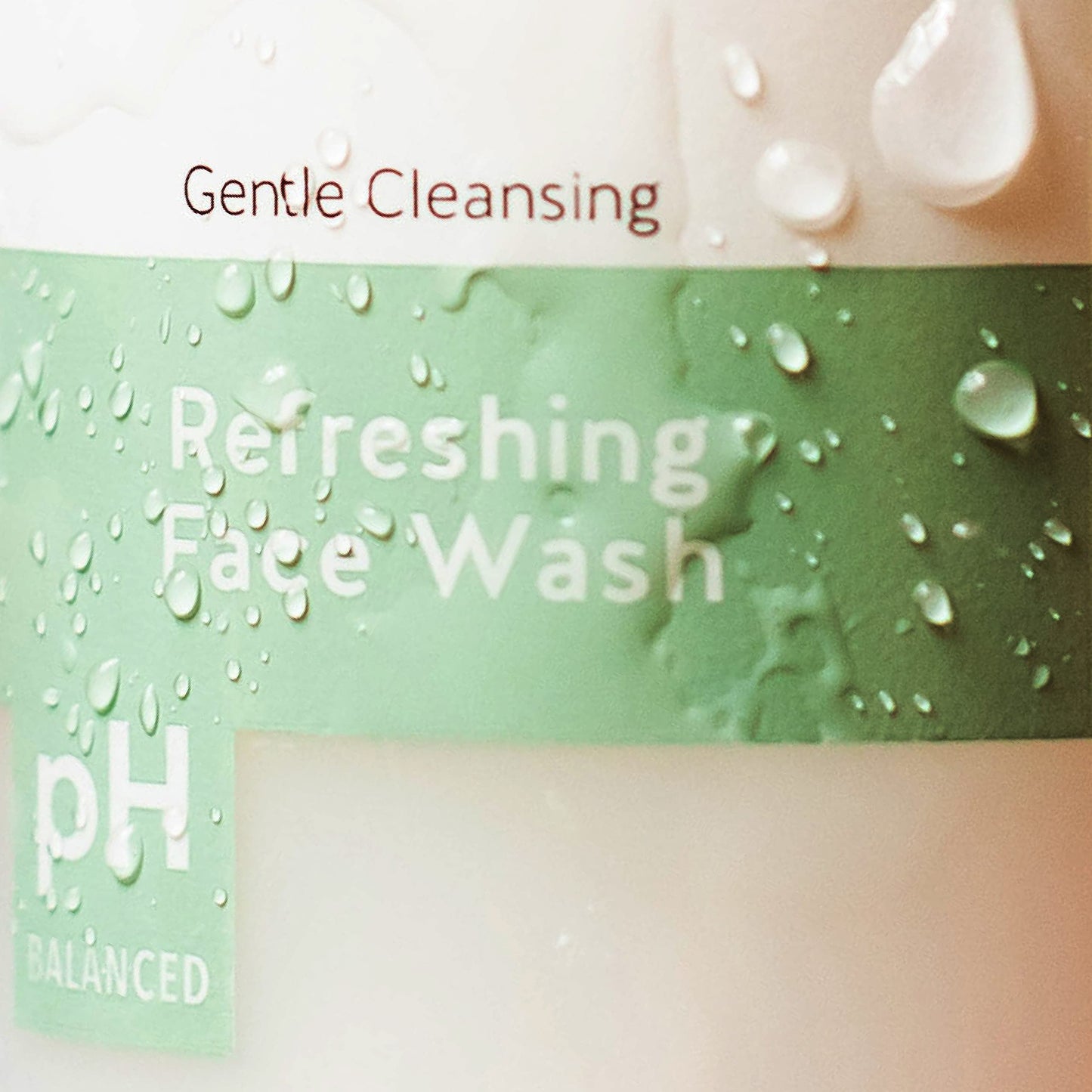 Alpha Skin Care Refreshing Face Wash 6 oz – Gentle Soap-Free Cleanser with Citric AHA to Purify, Remove Makeup & Oil, Balance pH, Anti-Aging Beauty & Personal Care Alpha
